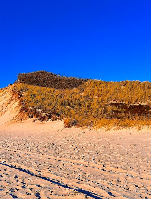 Sylt Impressionen
  (10_20211226_124739.jpg)